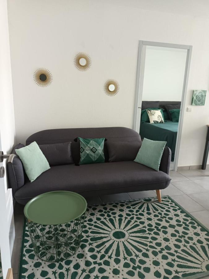 Superbe Appartement Et Parking Proche Du Centre Du Monde Περπινιάν Εξωτερικό φωτογραφία